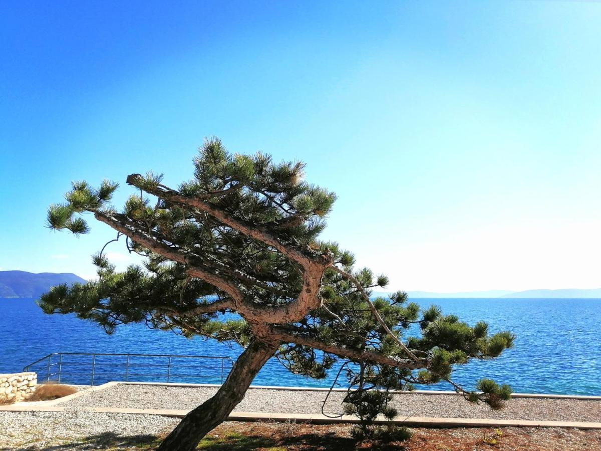 Apartment Layla - Intermezzo With Sea View In Center Of Rabac Eksteriør billede